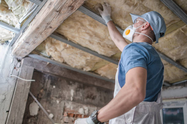 Best Residential Insulation Services  in Galveston, IN